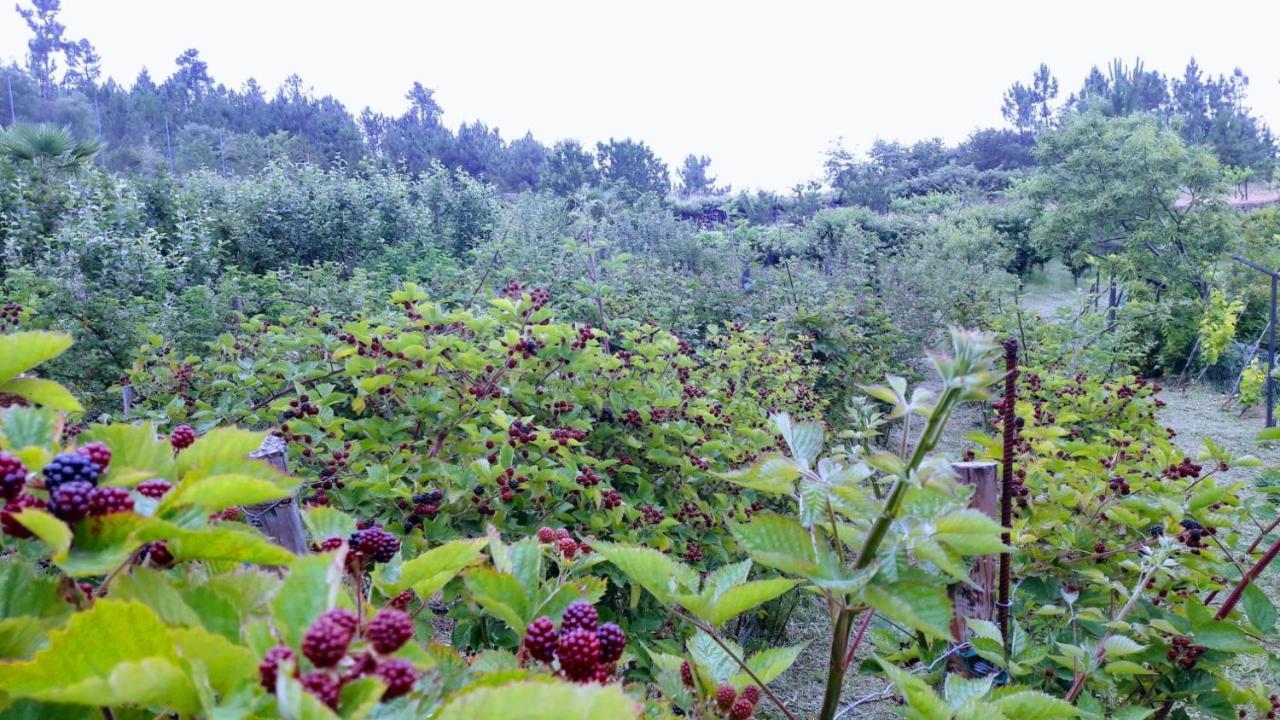레센데 Pinhawood 빌라 외부 사진